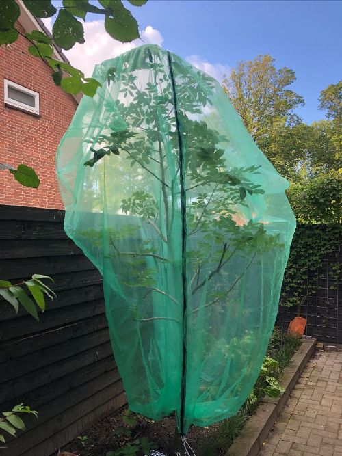 Fruitboombeschermingshoes met ritssluiting, 300x300 cm