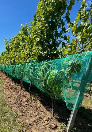 vaspa net, groen voor de wijnbouw tegen wespen en hagel