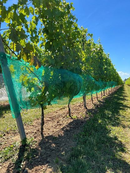 vaspa net, groen voor de wijnbouw tegen wespen en hagel
