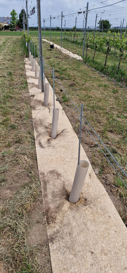 hennep gronddoek met boomstambeschermers op wijngaard